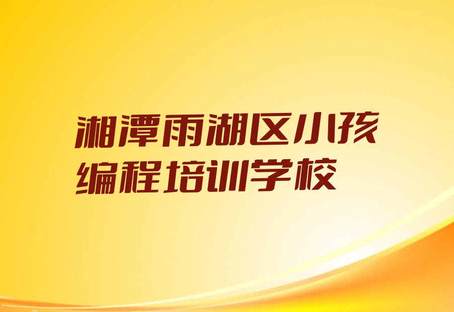 湘潭雨湖区小孩编程培训学校