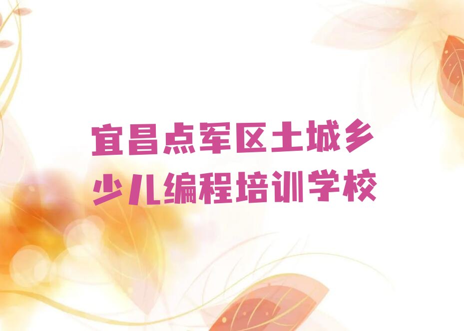 宜昌点军区土城乡少儿编程培训学校