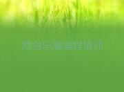 烟台童程童美学乐高编程哪家口碑好名单今日一览排行榜