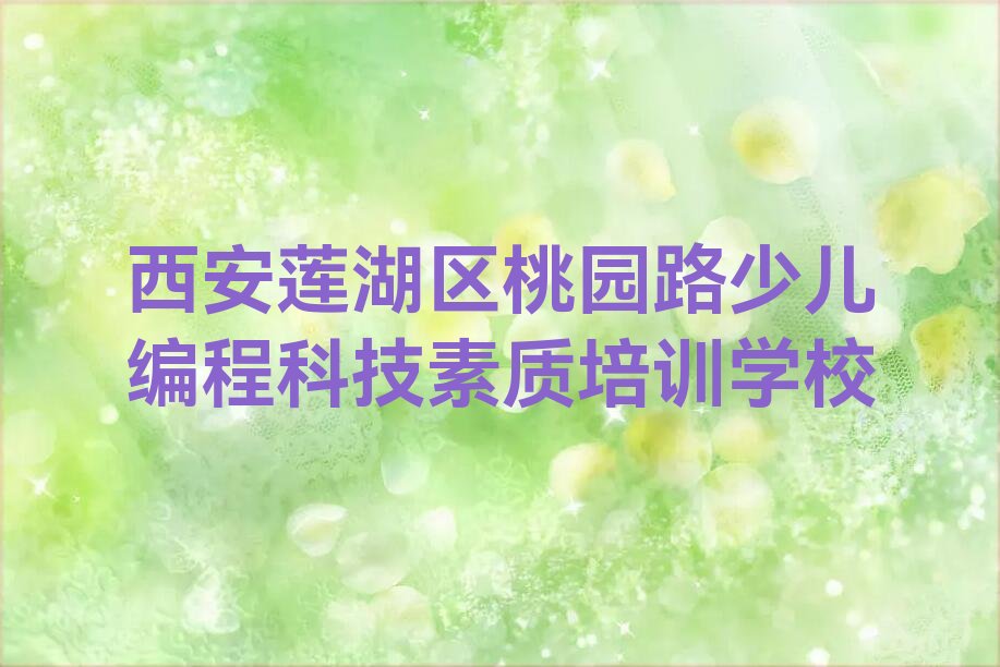 西安莲湖区桃园路少儿编程科技素质培训学校