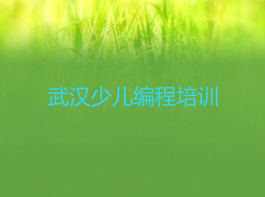 武汉江汉区少儿编程培训