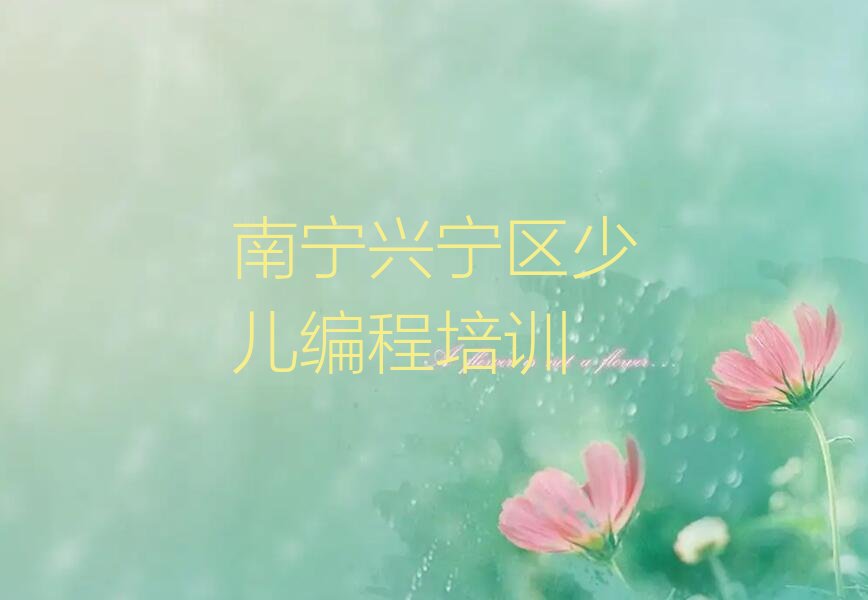 南宁兴宁区少儿编程培训