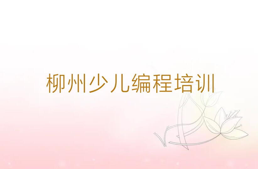 柳州城中区河东街道少儿编程Python培训学校