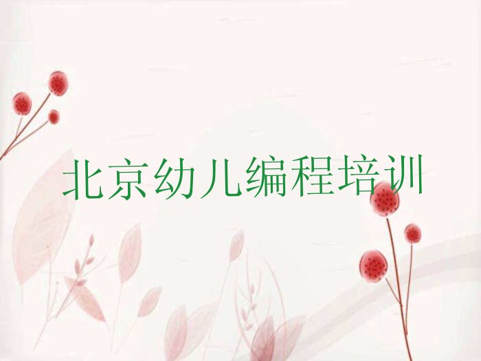 北京少儿编程培训学校