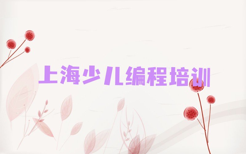 上海崇明区少儿编程培训