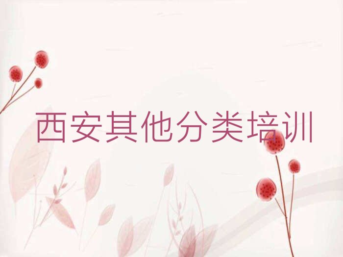 西安阎良区少儿无人机大赛培训学校