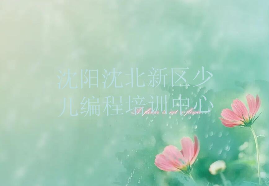沈阳沈北新区少儿编程培训中心