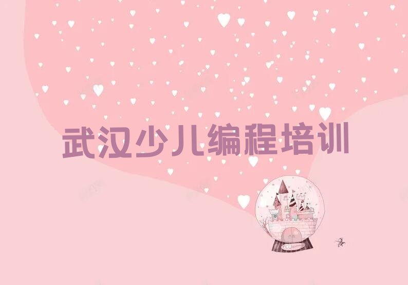武汉少儿编程培训中心