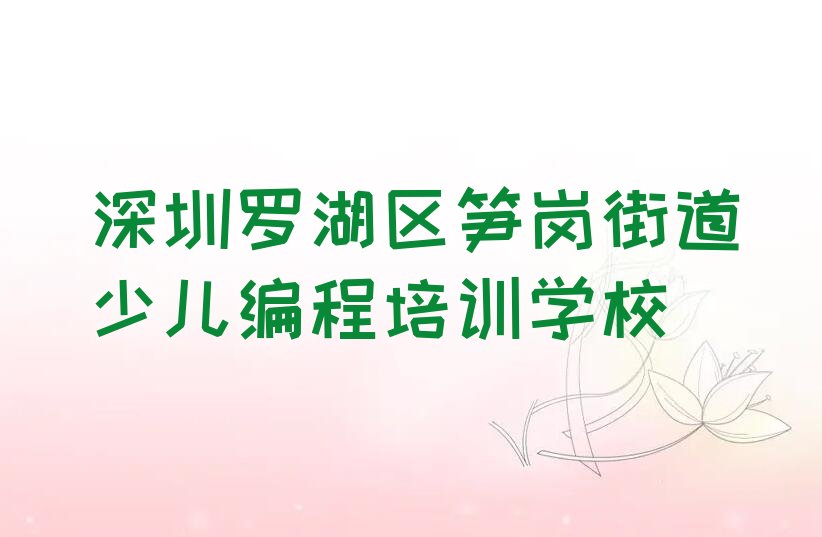 深圳罗湖区笋岗街道少儿编程培训学校
