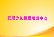 武汉蔡甸区受欢迎的几家乐高编程培训机构武汉名单有哪些榜单一览推荐排行榜