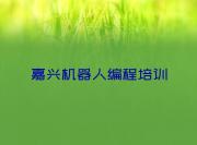 嘉兴南湖区在线教机器人编程