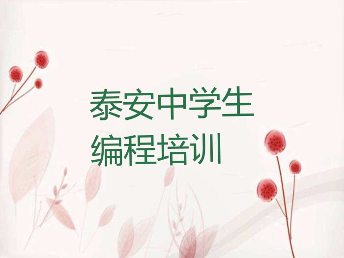 泰安少儿编程培训
