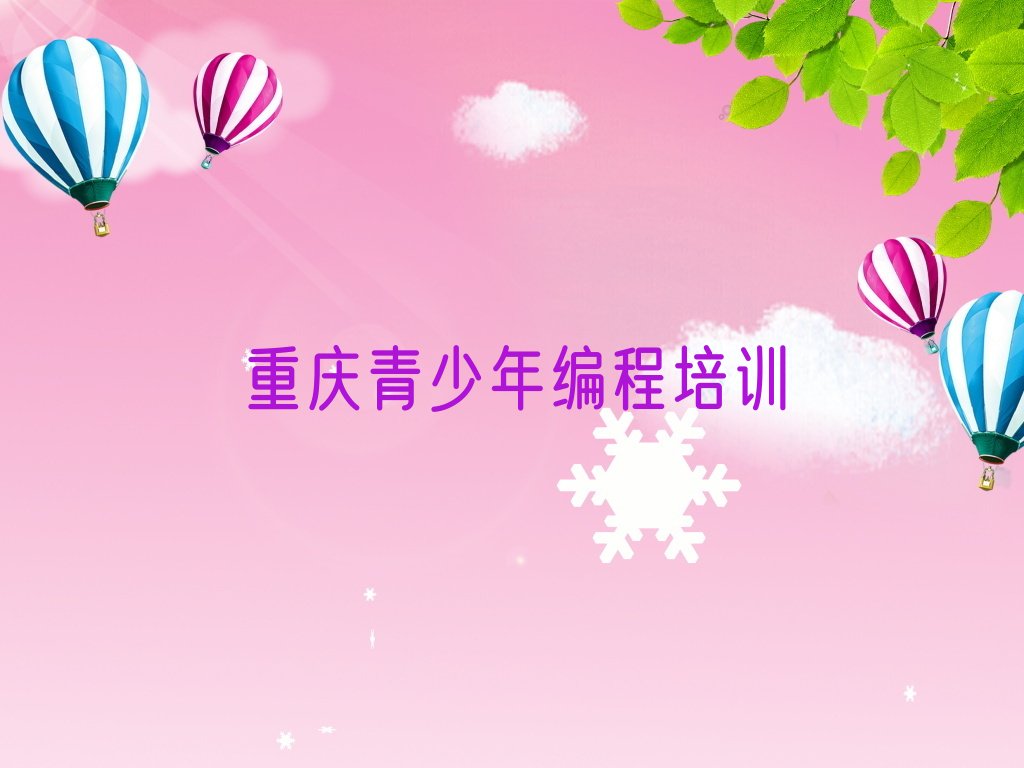 重庆永川区少儿编程培训中心