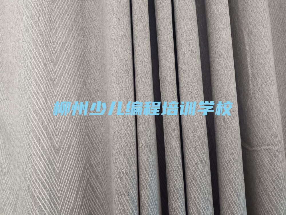 柳州少儿编程培训学校