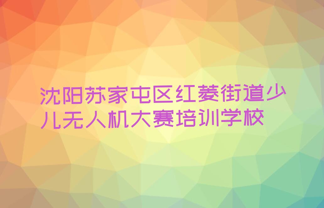 沈阳苏家屯区红菱街道少儿无人机大赛培训学校