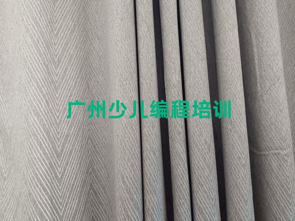 十大广州白云区排名前十的权威小学生编程机构推荐排行榜