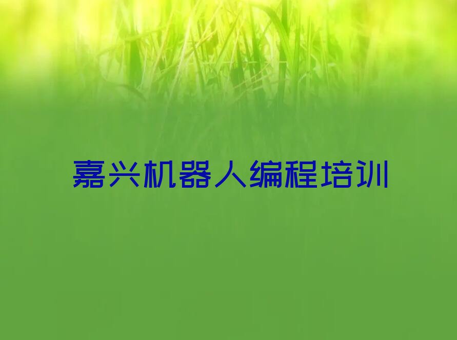 十大嘉兴南湖区在线教机器人编程排行榜