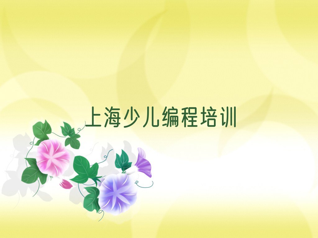 上海少儿编程培训中心