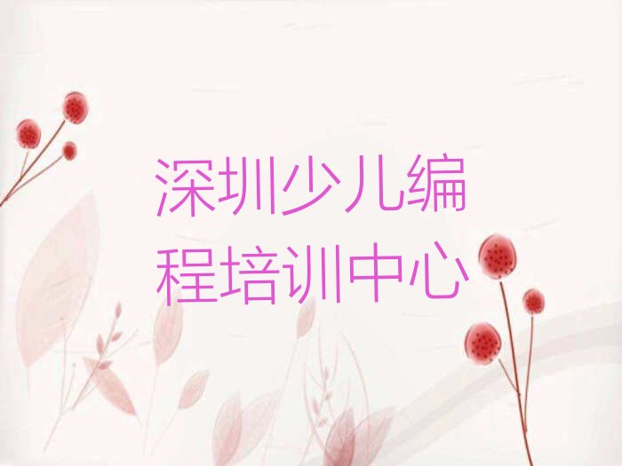 深圳少儿编程培训中心