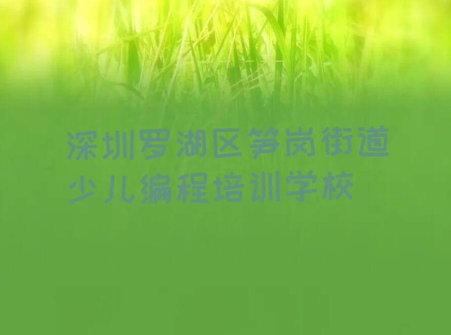 深圳罗湖区笋岗街道少儿编程培训学校