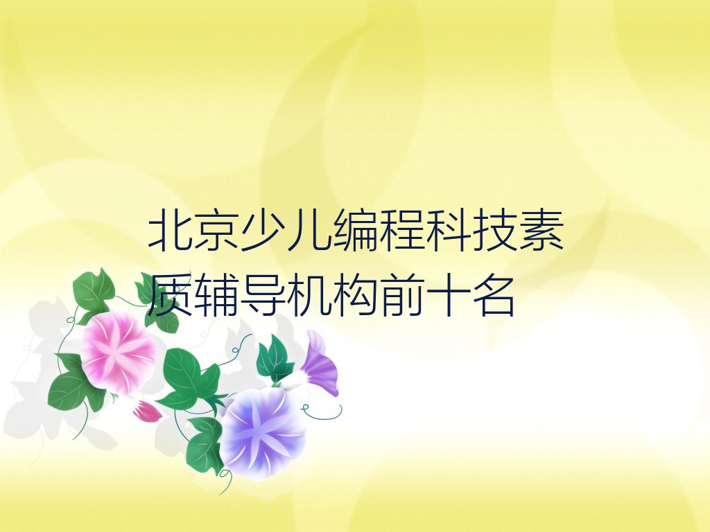少儿编程科技素质