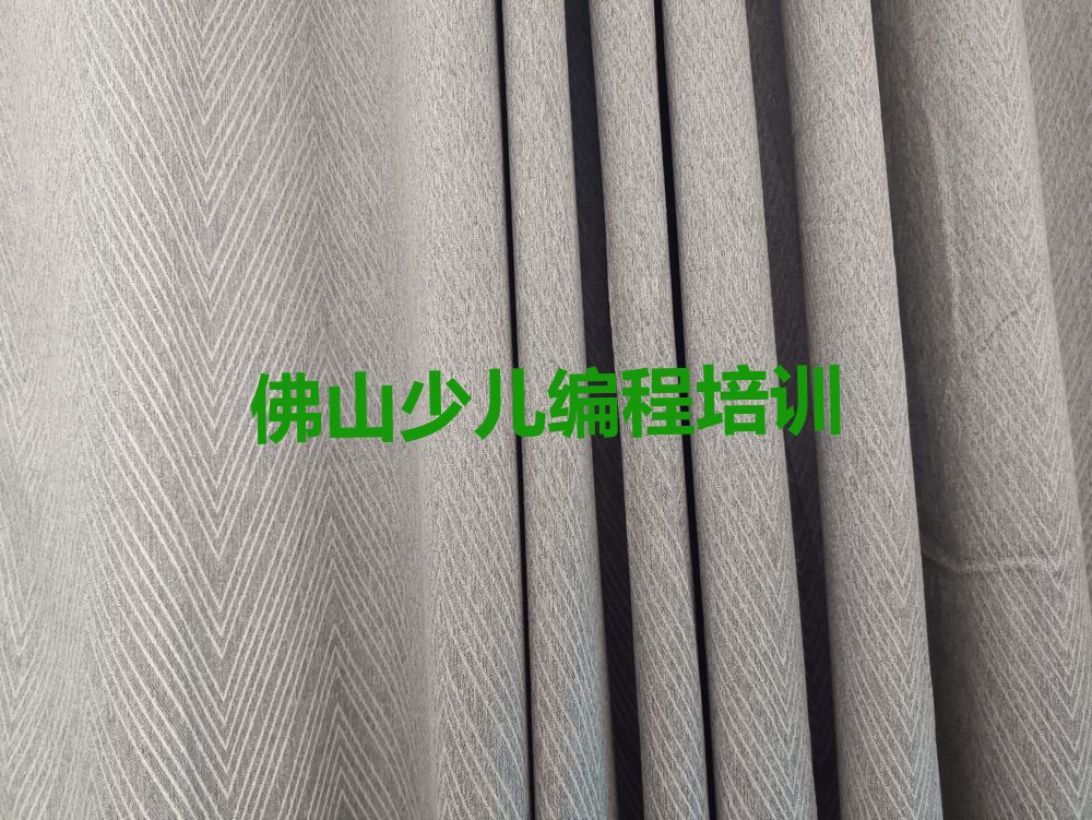 佛山少儿编程培训中心