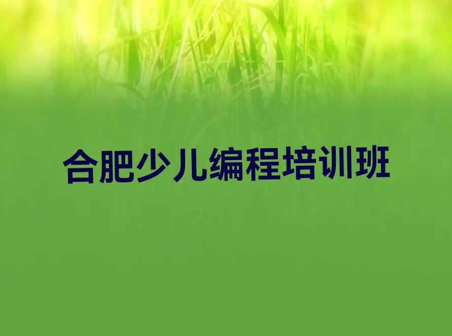 十大少儿编程科技素质合肥大杨镇少儿编程科技素质培训机构哪个靠谱-合肥童程童美少儿编程科技素质培训班人气排行榜一览表排行榜