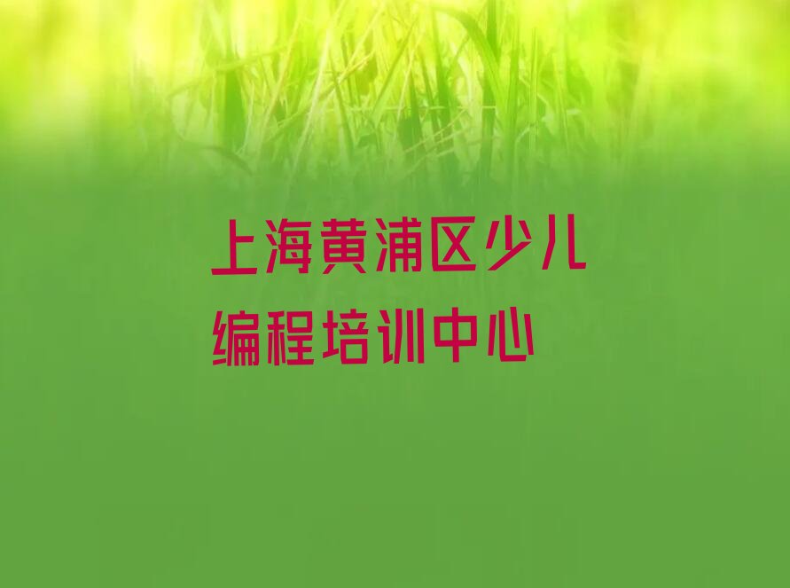 上海黄浦区少儿编程培训中心