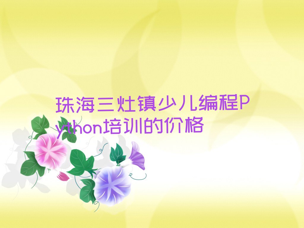 珠海金湾区少儿编程培训中心