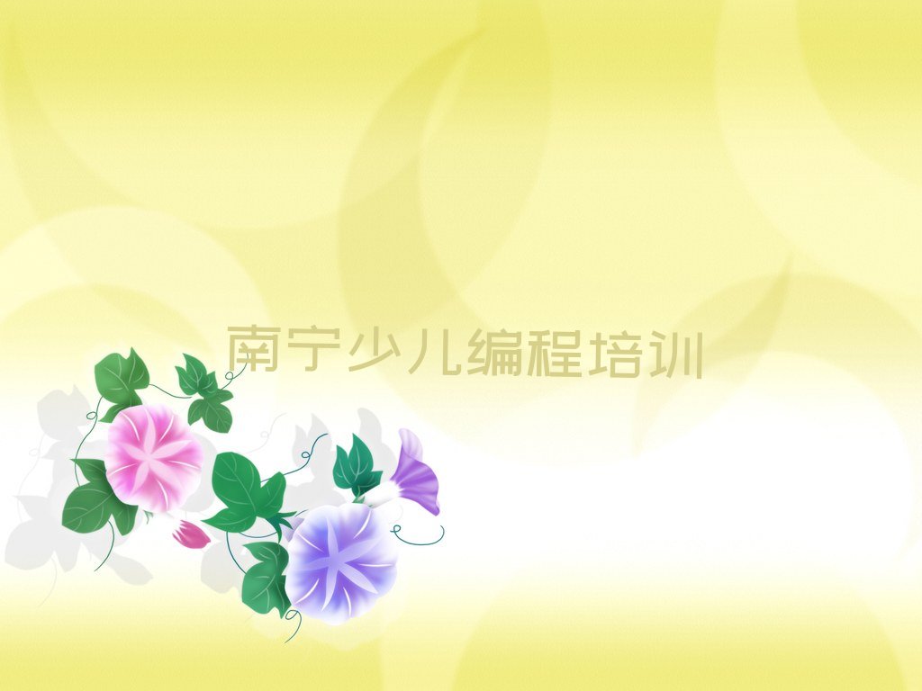 南宁NOIP信息学奥赛培训学校