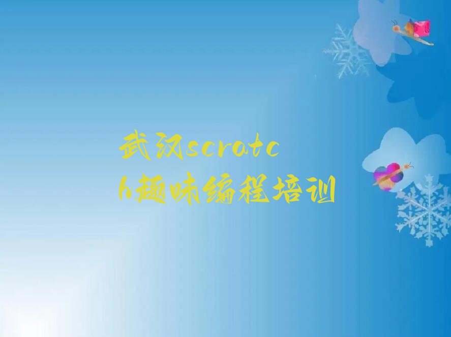 武汉新洲区少儿编程培训中心