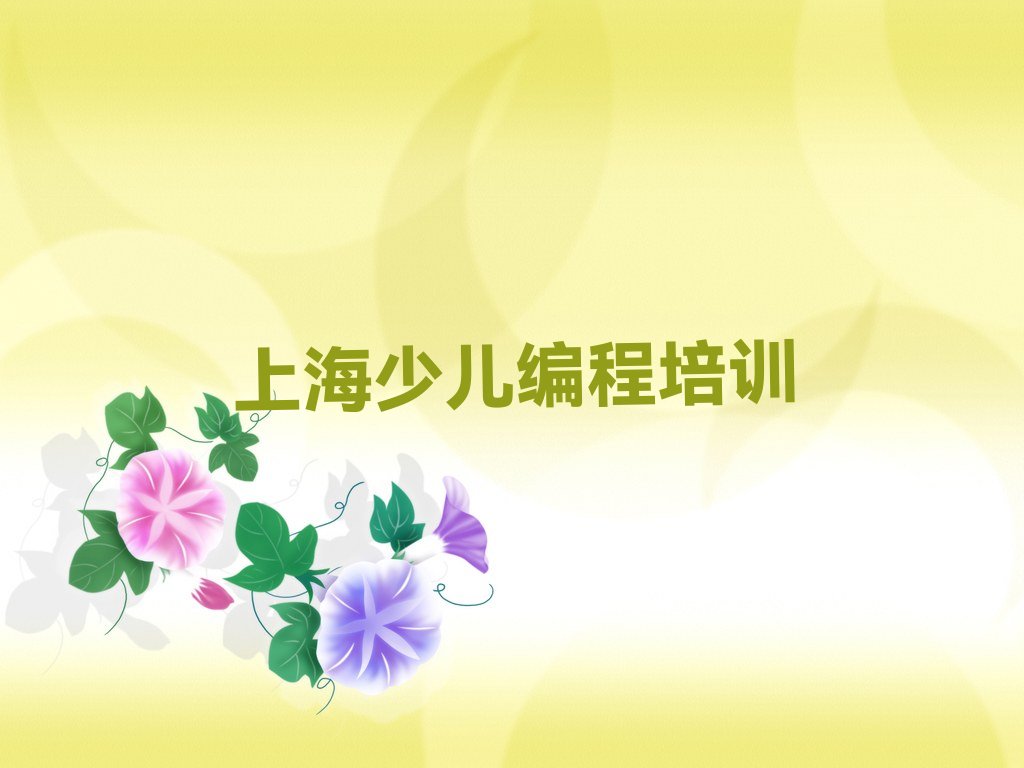 上海少儿编程培训班