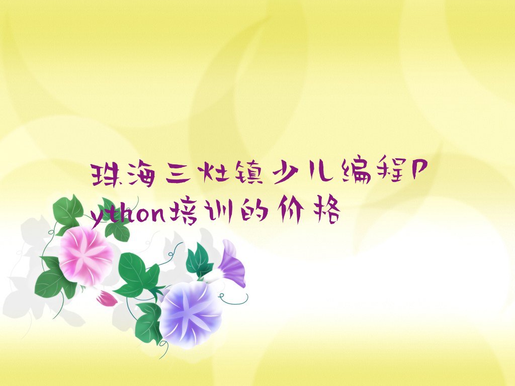 珠海金湾区少儿编程培训中心