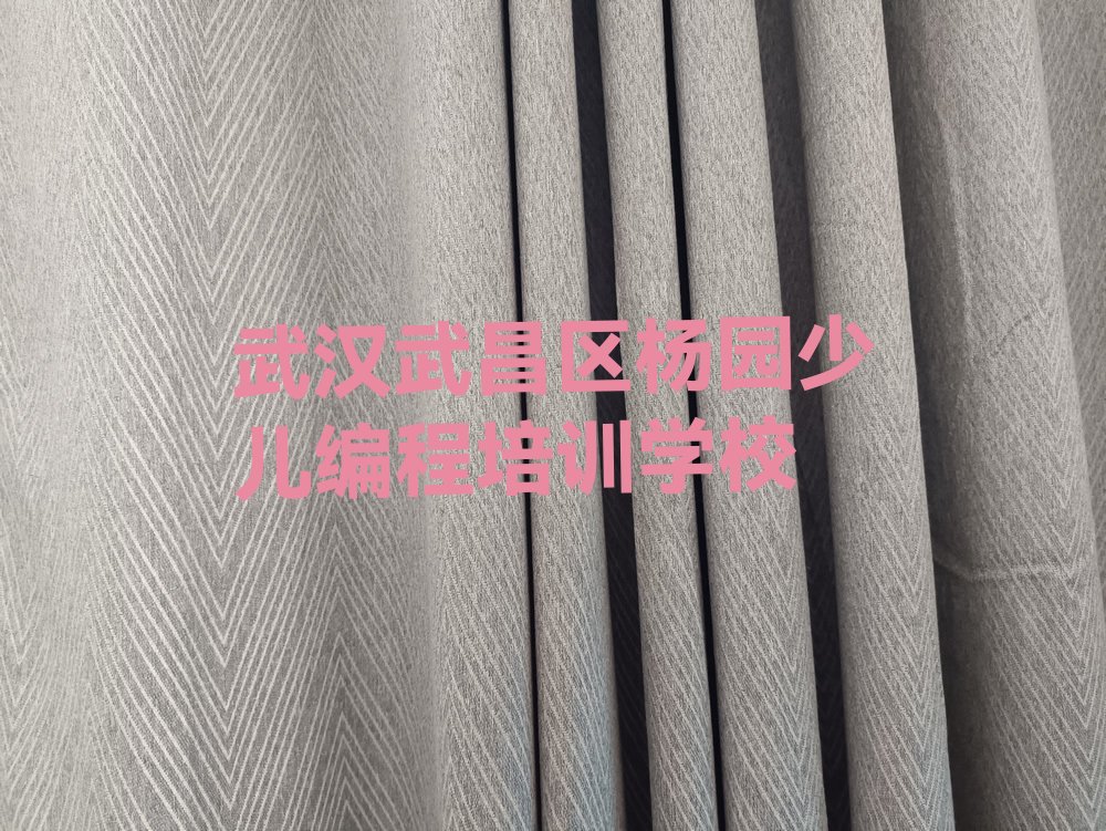 十大武汉武昌区机器人编程全年培训名单排行榜新排名一览排行榜