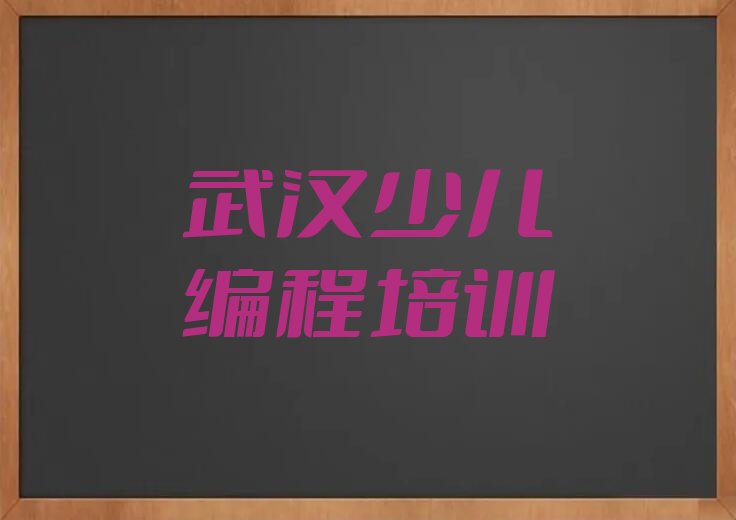 武汉武昌区杨园少儿编程培训学校