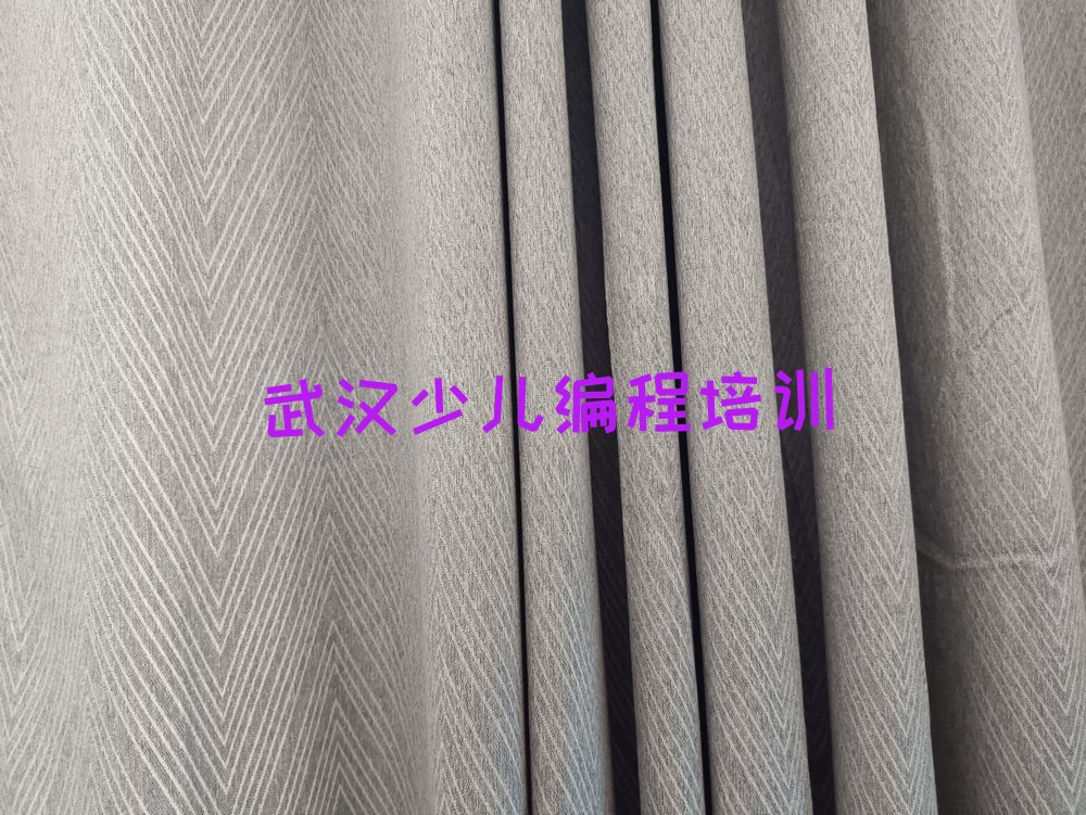 武汉少儿编程培训学校