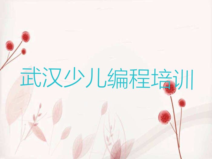 武汉少儿编程培训