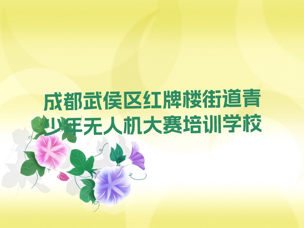 成都武侯区红牌楼街道青少年无人机大赛培训学校