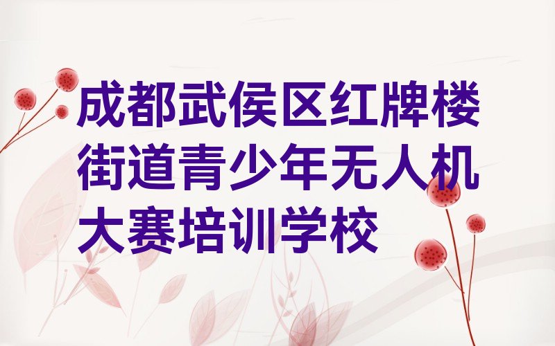 青少年无人机大赛