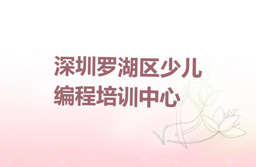 深圳罗湖区少儿编程培训中心