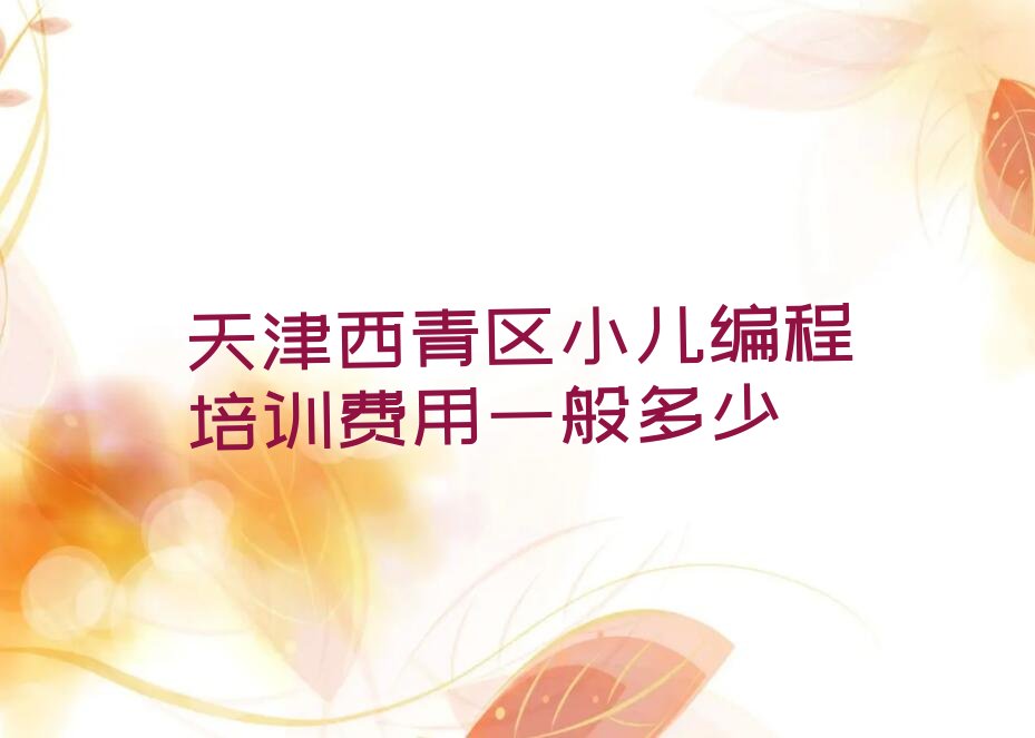 天津西青区小儿编程培训学校