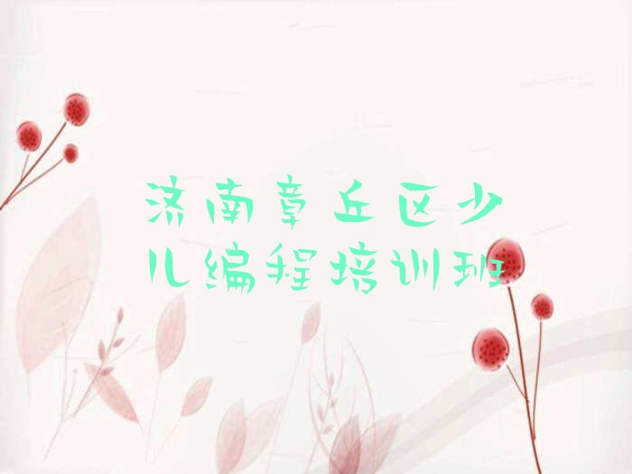 十大济南章丘区小孩编程课程培训班排行榜