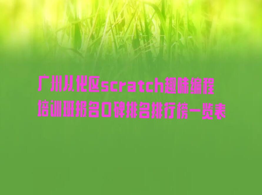 广州从化区温泉镇scratch趣味编程培训学校