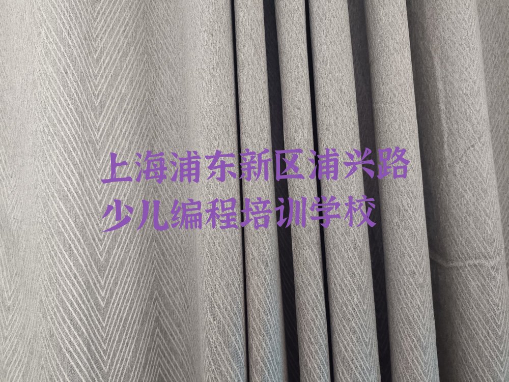 上海浦东新区浦兴路少儿编程培训学校