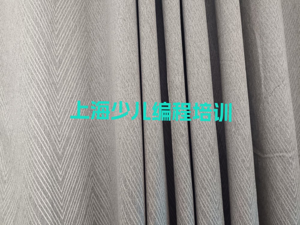 上海奉贤区庄行镇少儿编程培训学校