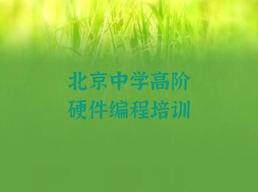 中学高阶硬件编程