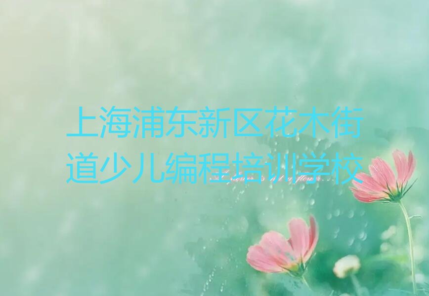 小学生编程