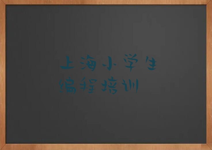 上海浦东新区花木街道少儿编程培训学校