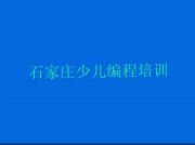 2025年石家庄幼儿编程一对一培训名单精选一览排行榜