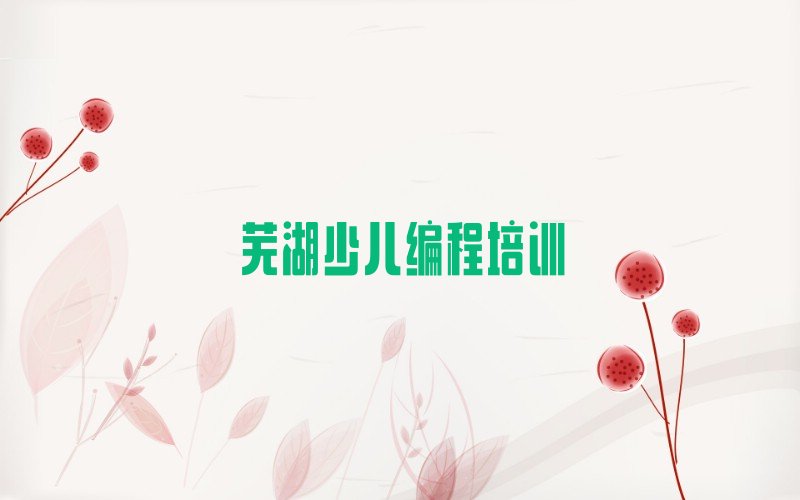 芜湖三山区信息学奥赛编程培训学校